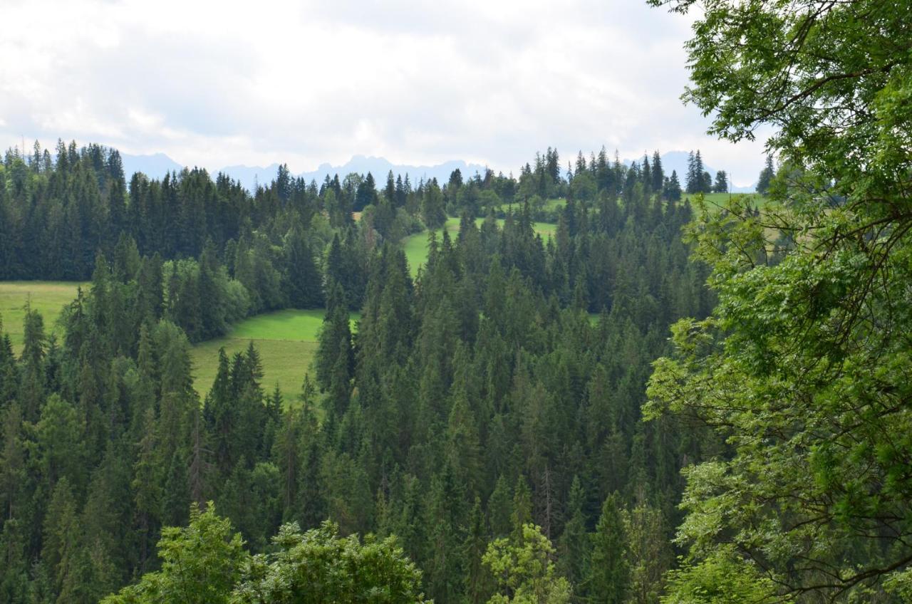 U Lassakow Poronin Exterior foto